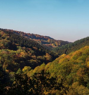Blick auf die herbstfarbenden Bäume in der Eifel vom Eifelblick aus, © Tourismus NRW e.V.