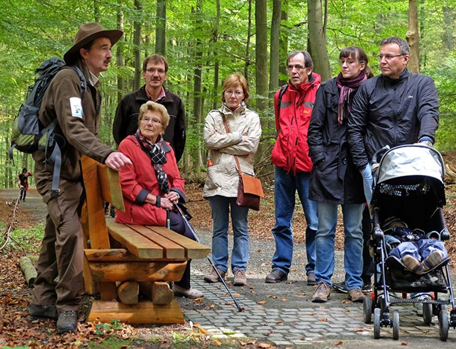 Rangerführung im Nationalpark Eifel