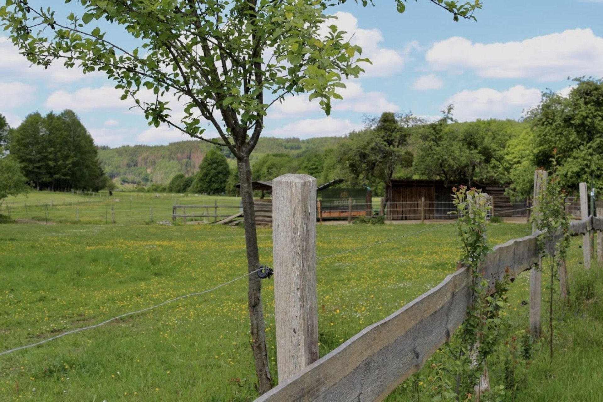 Obstwiese Mäanderweg