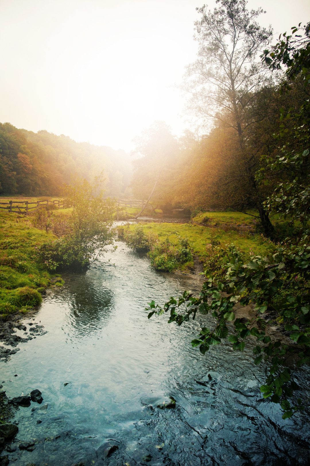 Eiszeitliches Wildgehege Bachtal