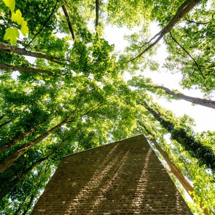 Blick nach oben auf der Museumsinsel Hombroich Neuss , © Tourismus NRW e.V.