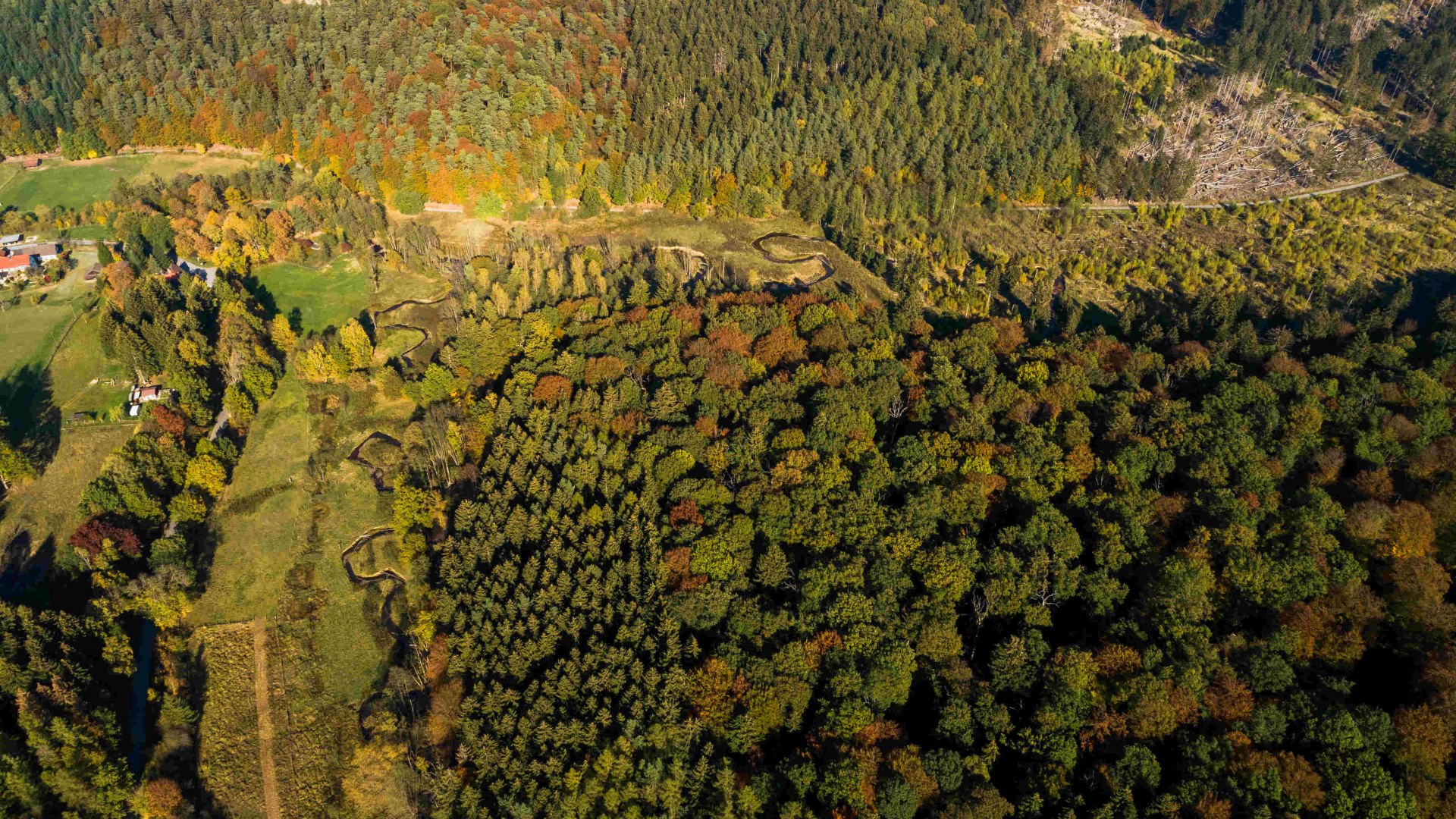 Herbst im Naturpark Arnsberger Wald, © Tourismus NRW e.V.