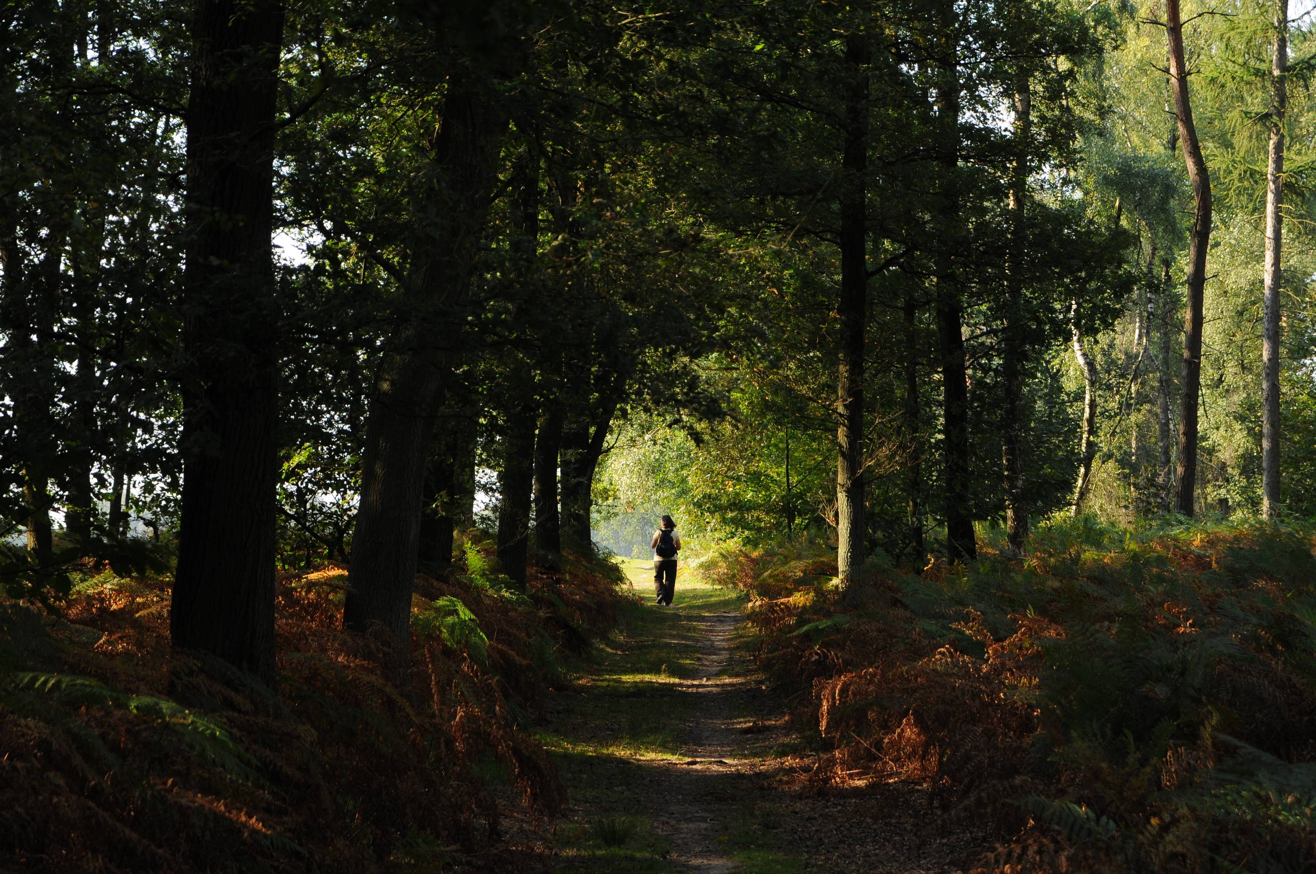 Wandern Naturpark Schwalm-Nette