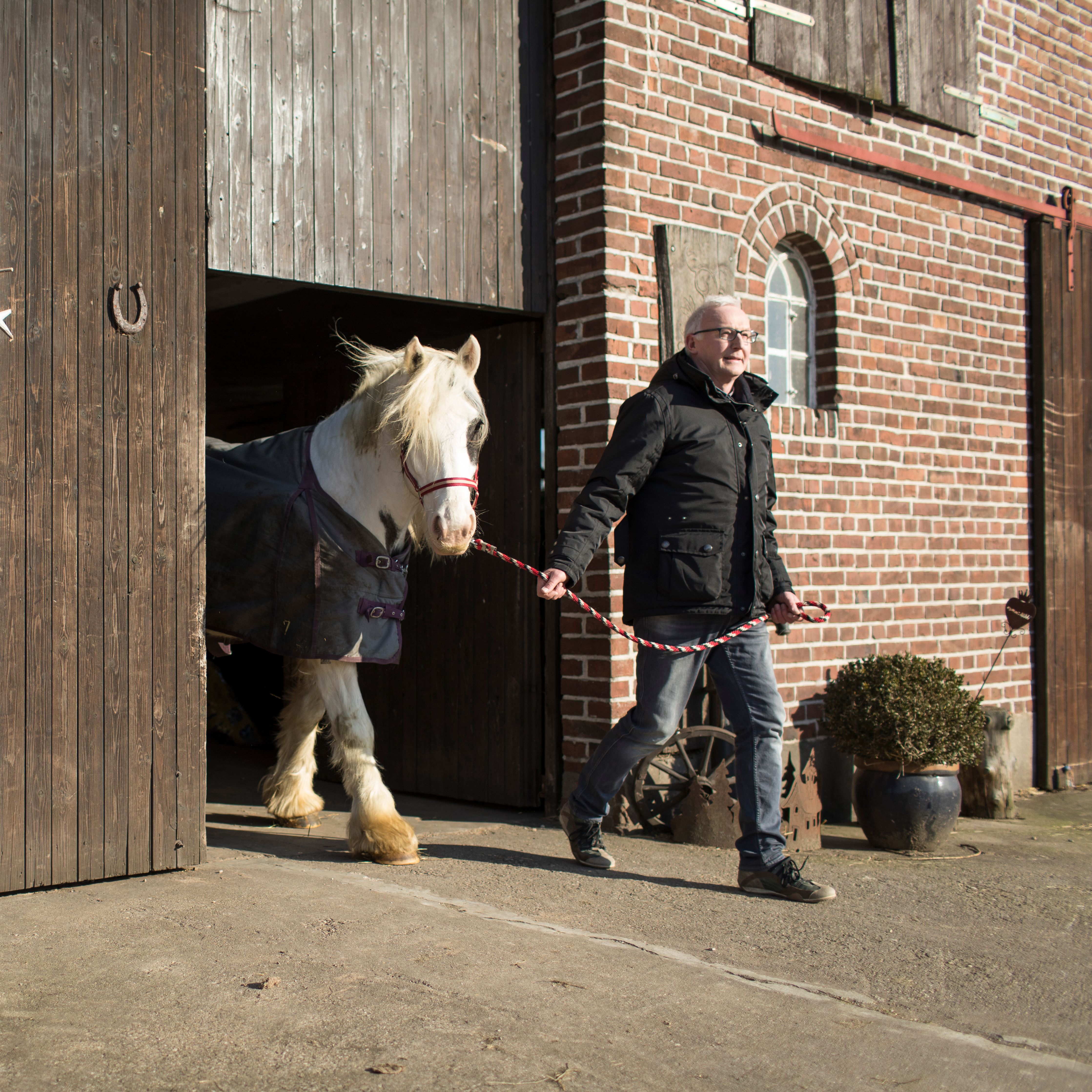 Volker Dingebauer mit Pferd, Niederrhein