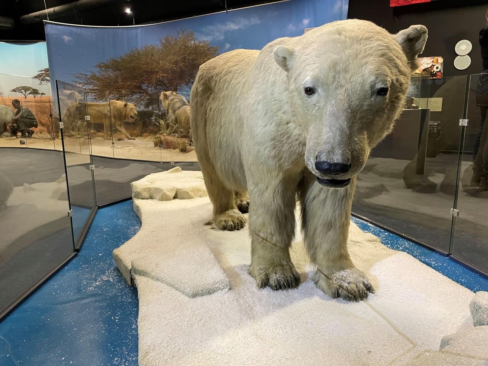 Die Ausstellungen des Galileo Parks sind unterschiedlichen Themen gewidmet. Auch Tiere kommen nicht zu kurz