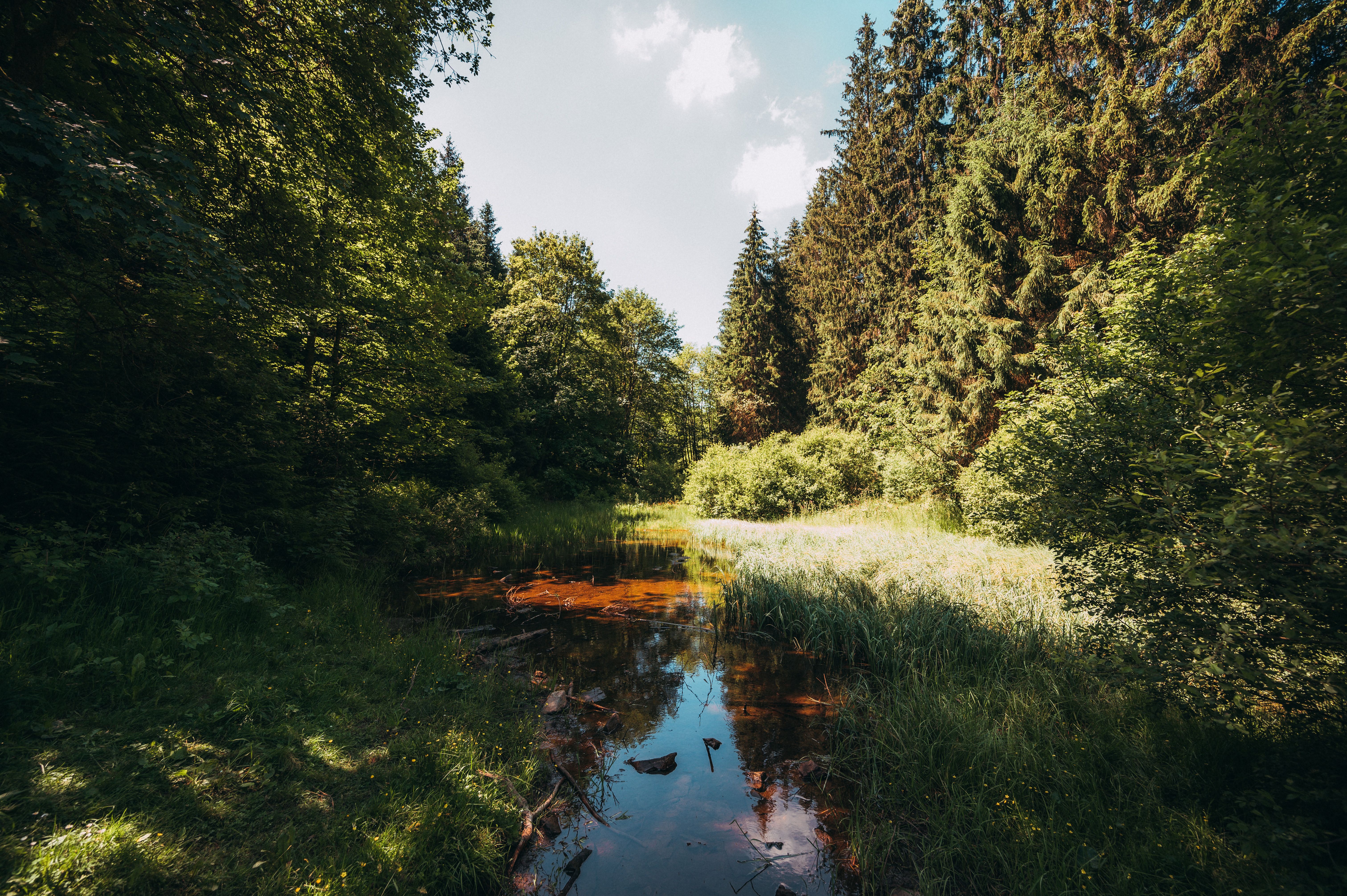 Ein Bach am Kleinen Rothaar Märchenwanderweg