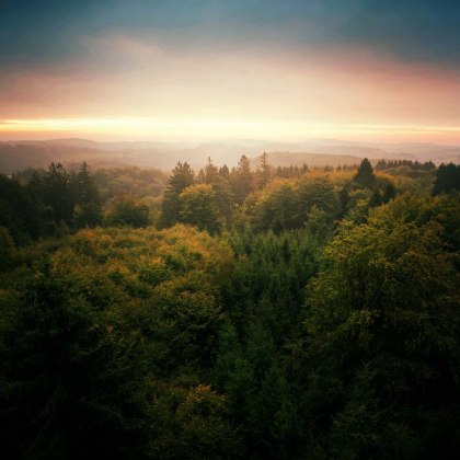 Ausblick über den Wald bei Sonnenuntergang, © Tourismus NRW e.V.