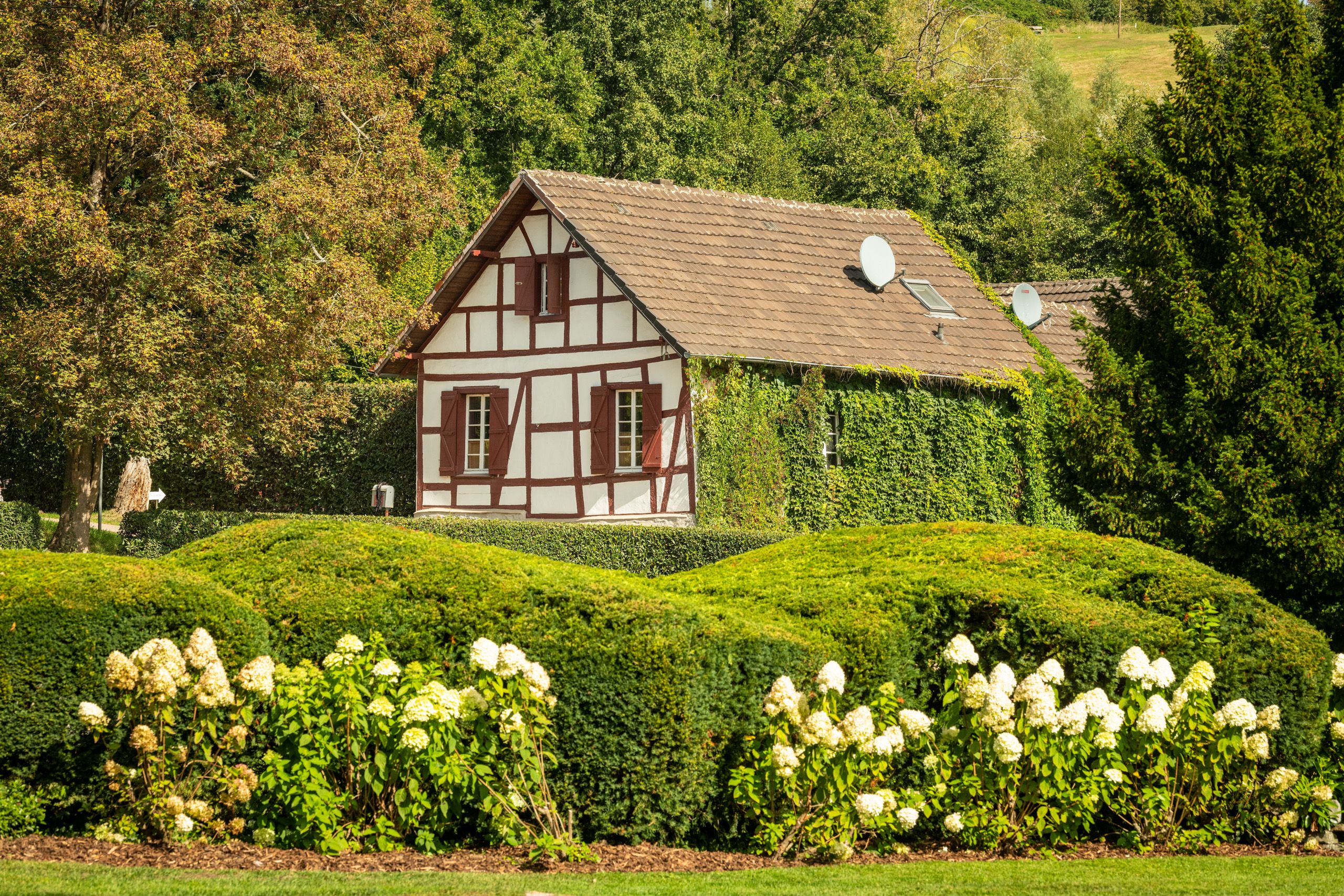 Schloss Auel