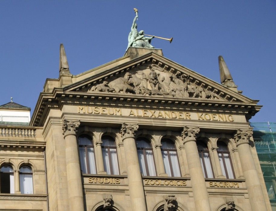 Das Museum Koenig Bonn genießt einen auf seinem Gebiet führenden Ruf als Zoologisches Forschungsmuseum