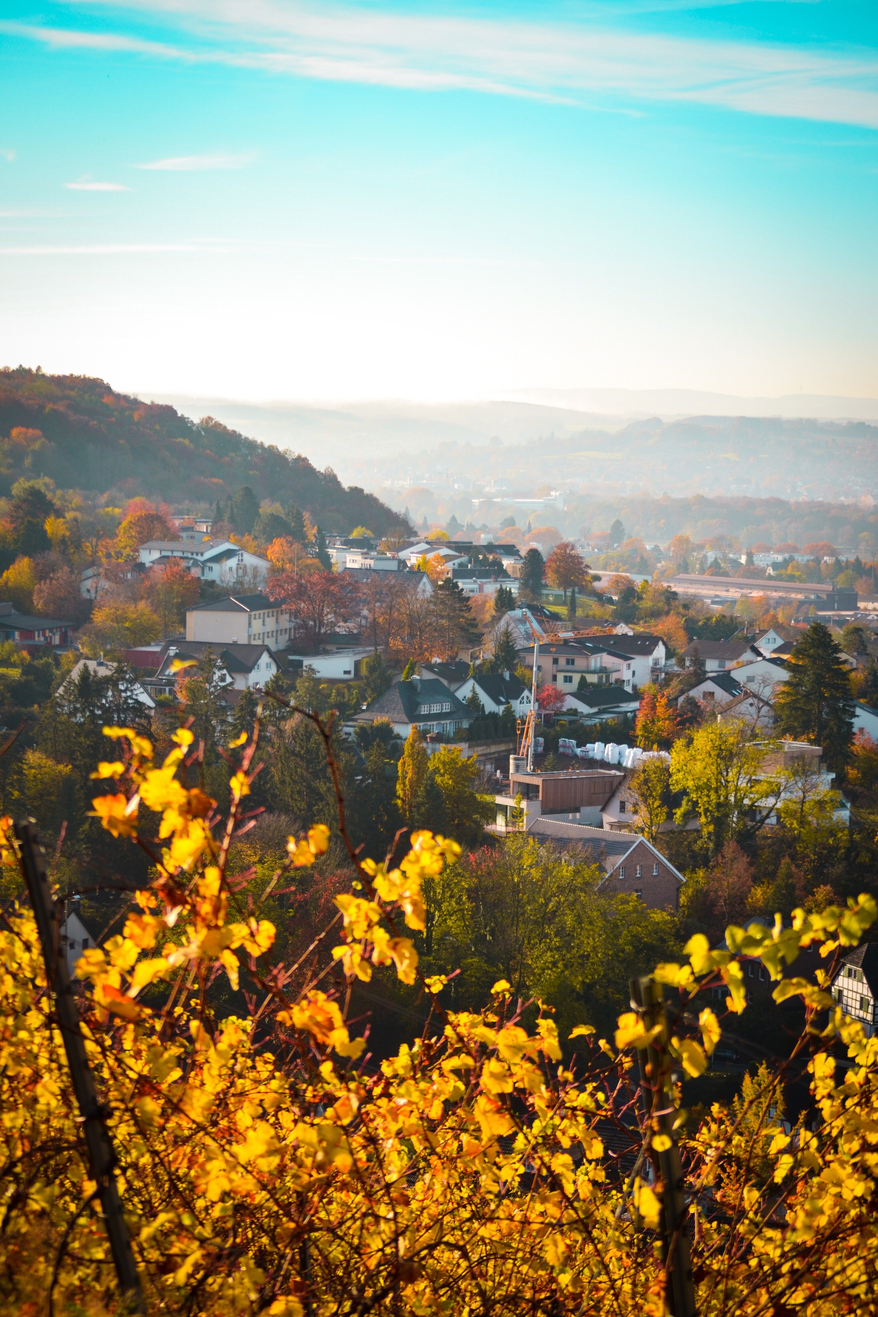 Blick auf Oberdollendorf