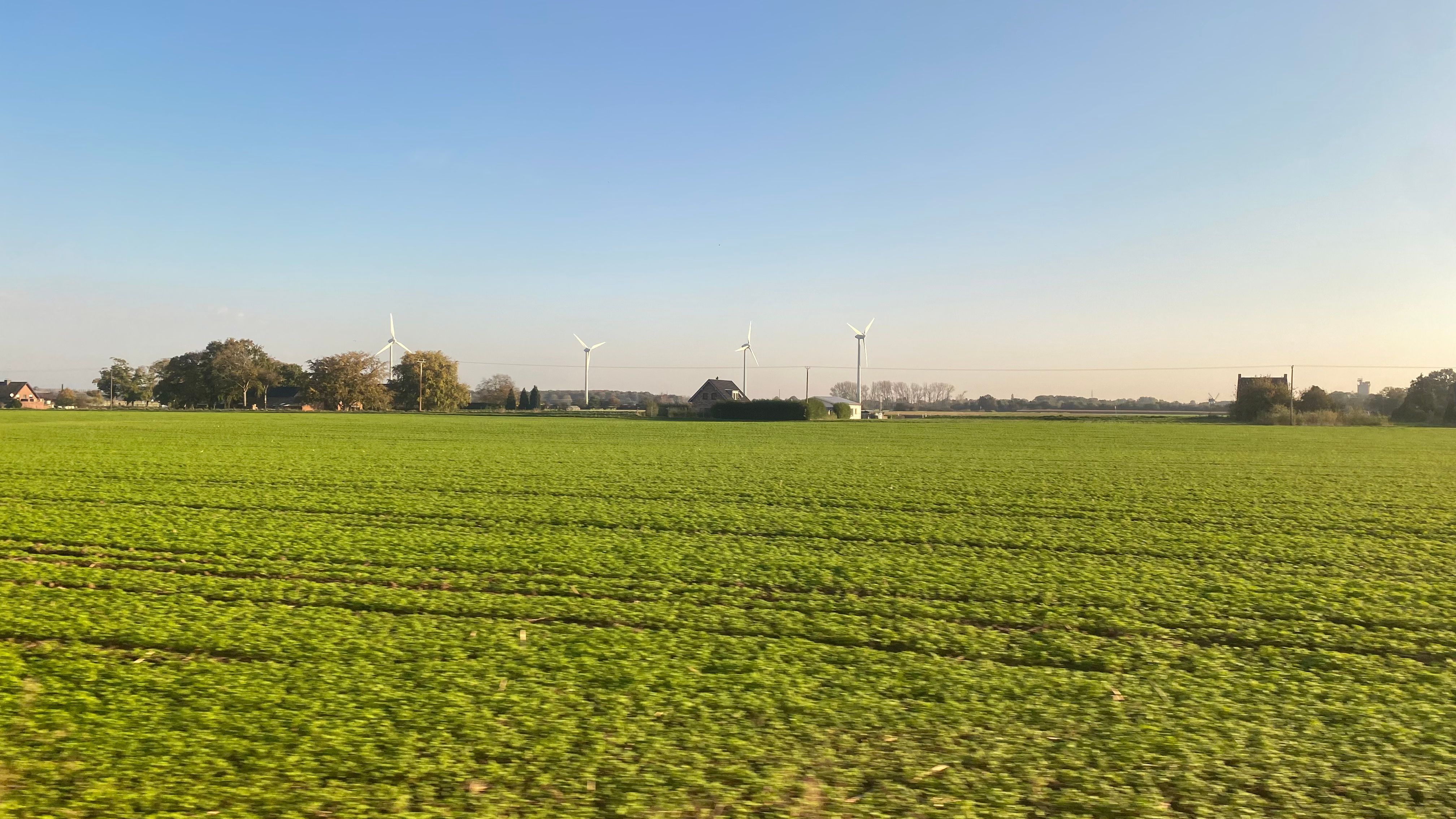 Weite Landschaft mit Feld und Wiesen