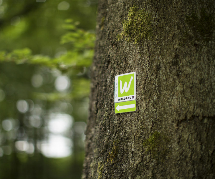 Erkennungszeichen der Sauerland-Waldroute, © Sauerland-Tourismus e.V.