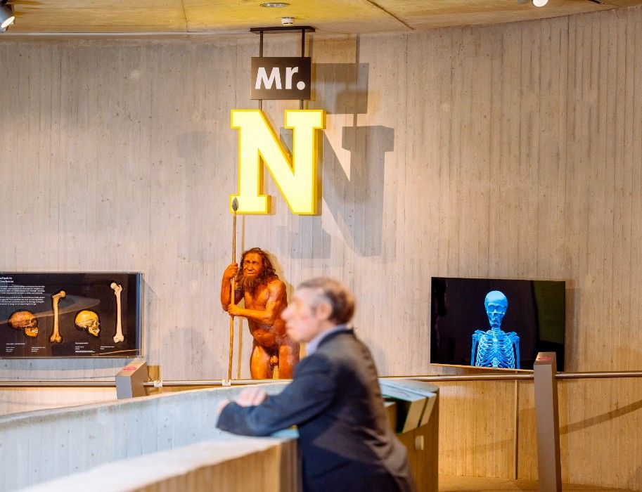 Mr. N ist als lebensechte Rekonstruktion des Neandertalers der Star des Neanderthal Museums