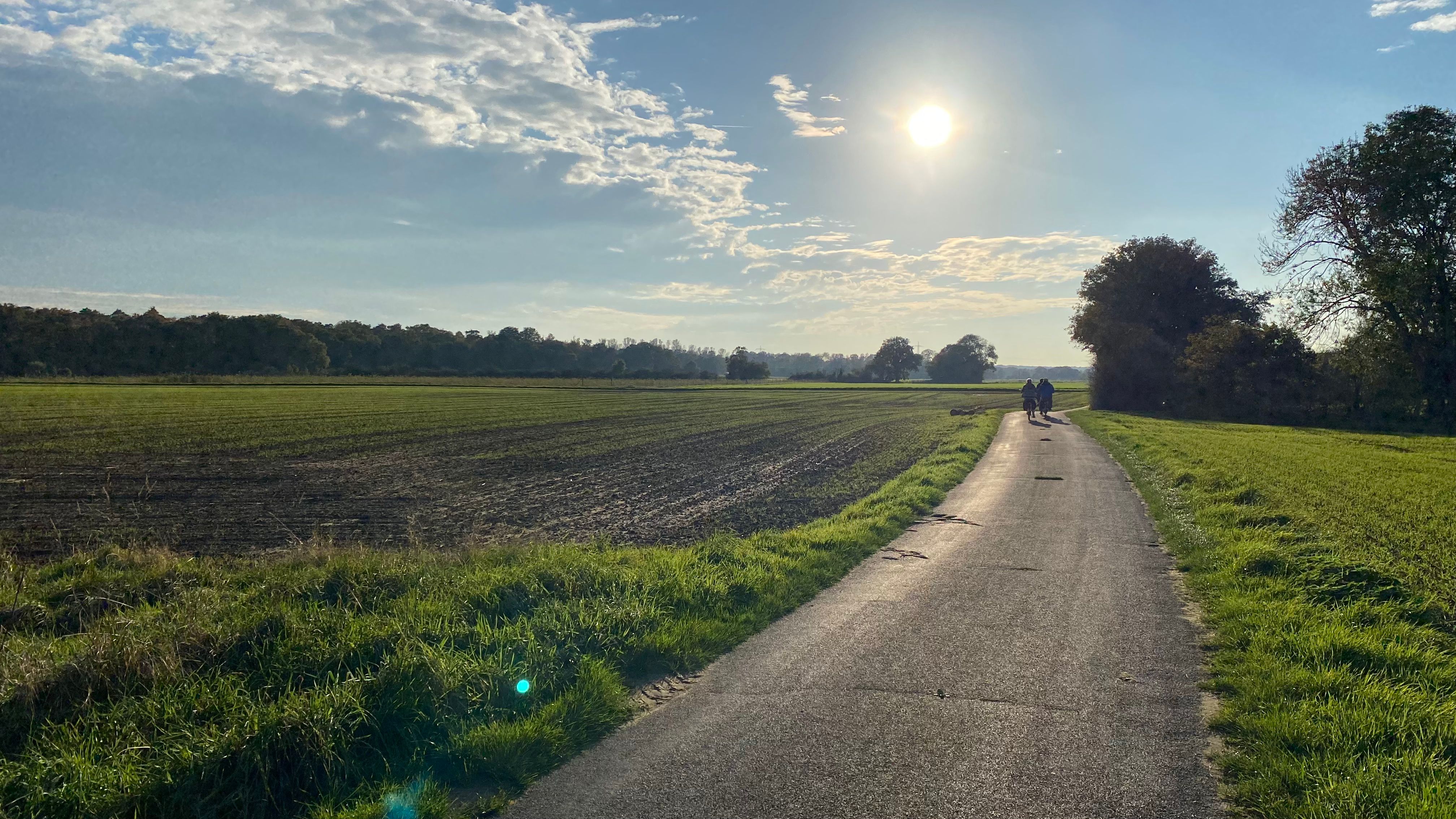 Feldweg in der Abendsonne