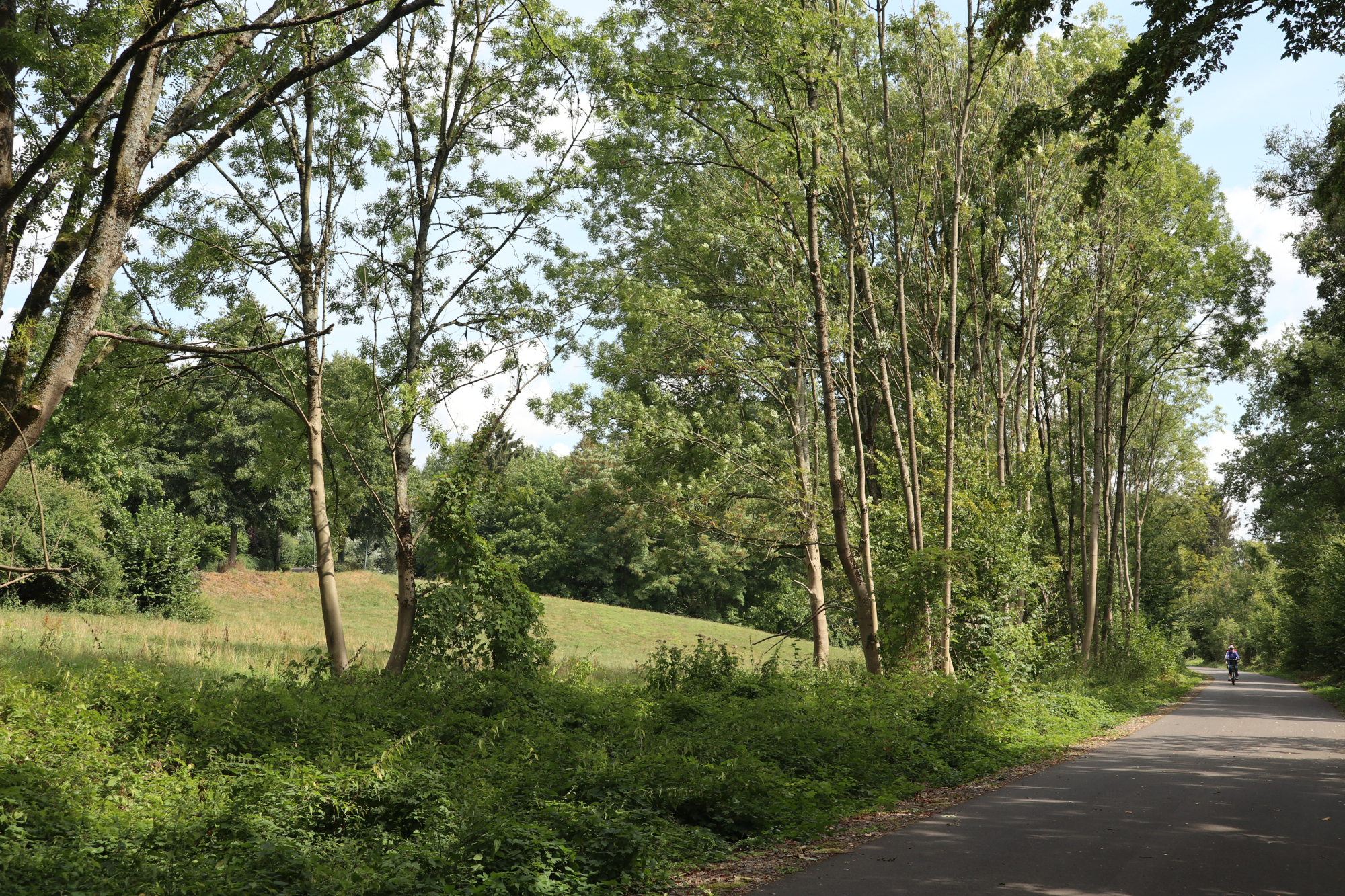 Panorama-Radweg Balkantrasse