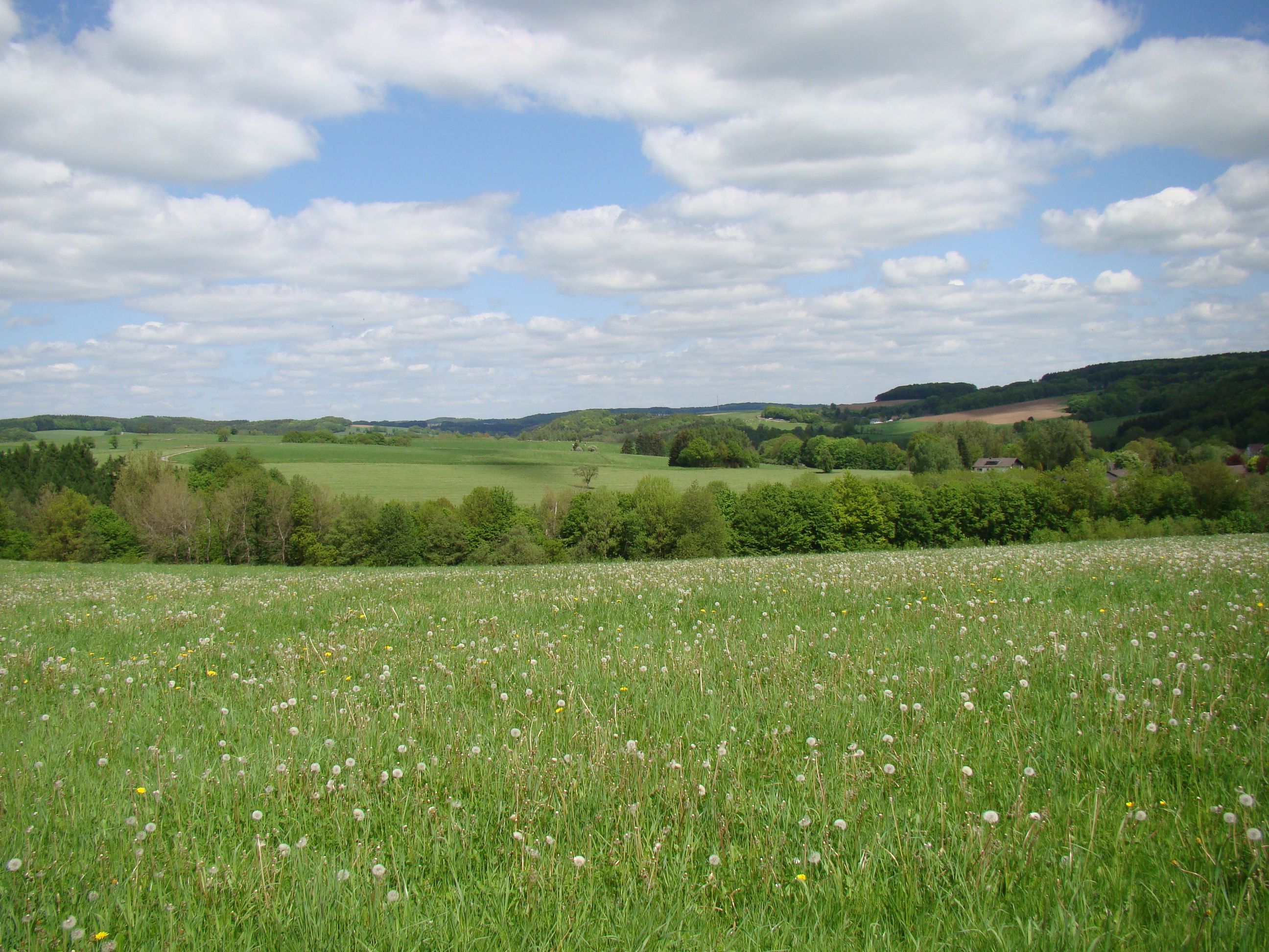 Aussicht bei Berghausen