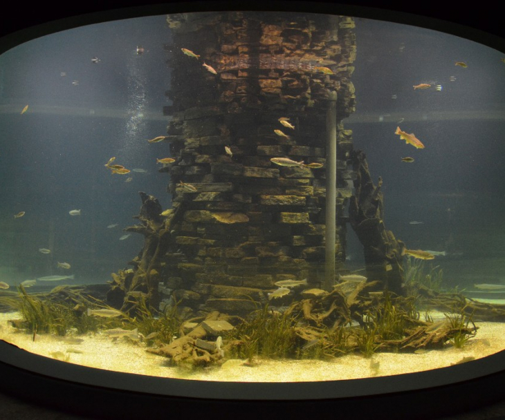 Aquariumszylinder, © Naturmuseum Dortmund