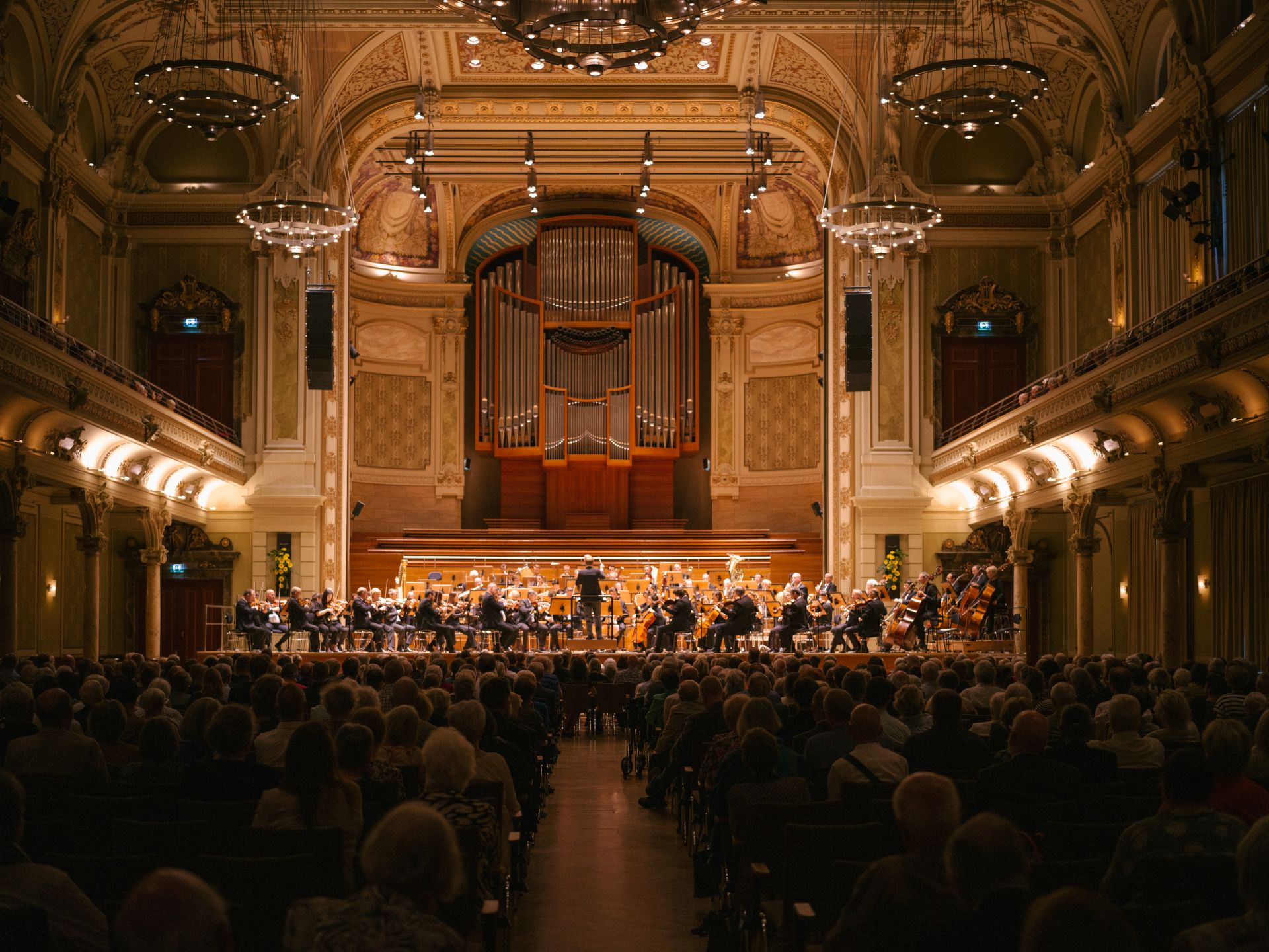 Der Große Saal der Historischen Stadthalle Wuppertal bietet dem Sinfonieorchester die perfekte Bühne, um sein Können zu entfalten