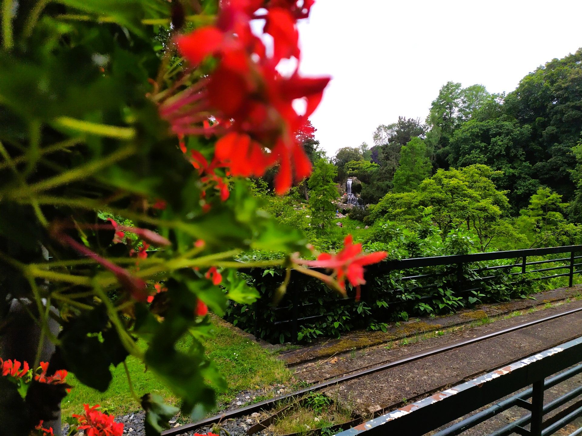 Gäste können an jeder Ecke des Grugaparks etwas entdecken. So zeigt sich hinter der Blumenpracht ein kleiner Wasserfall