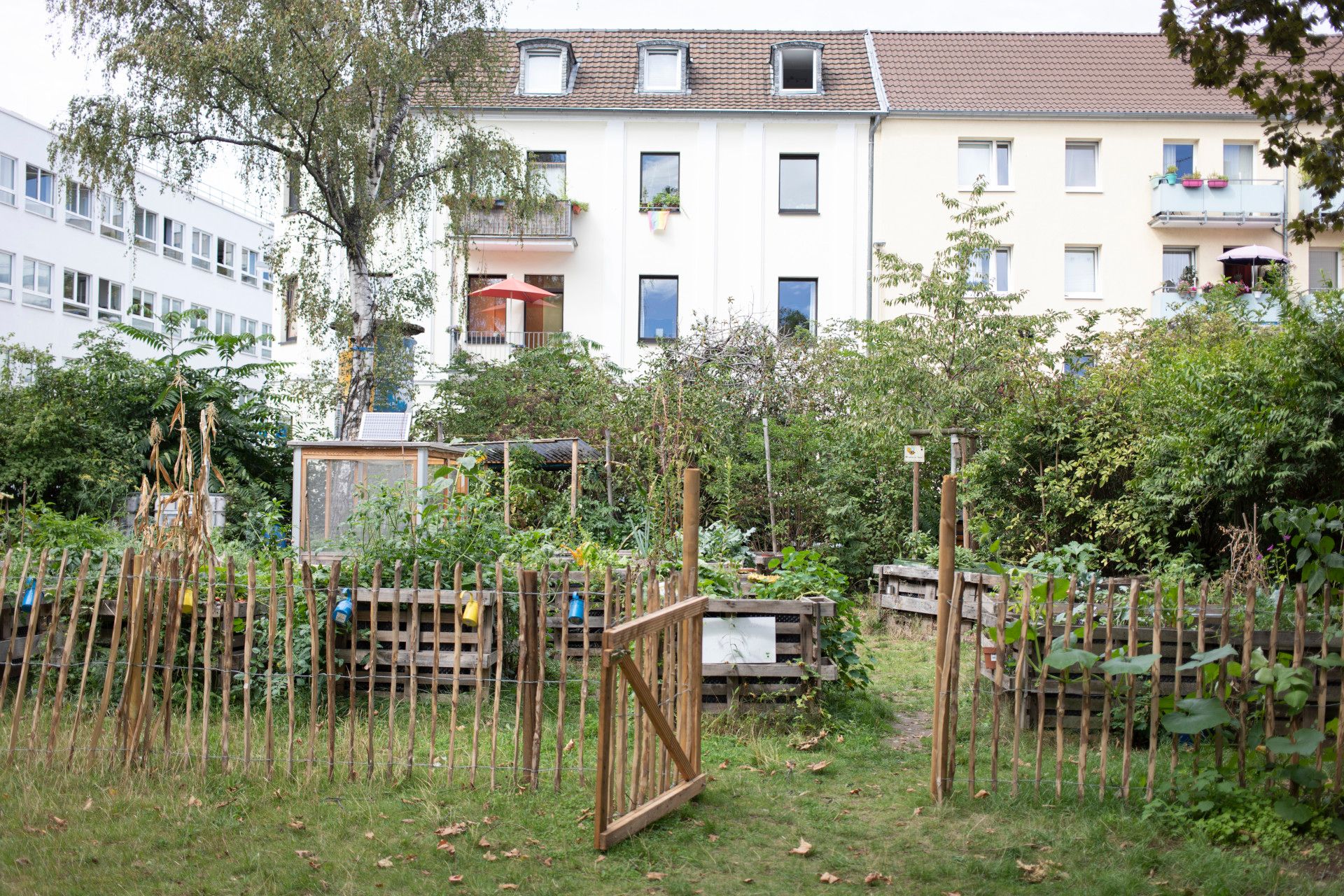 Stadtgarten Stadtfrüchtchen, Bonn