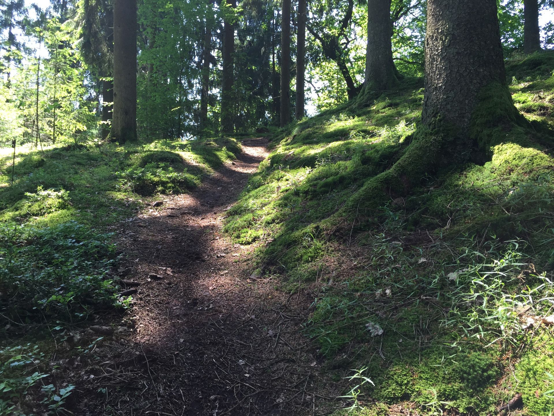 Etappe 14 des Natursteigs Sieg