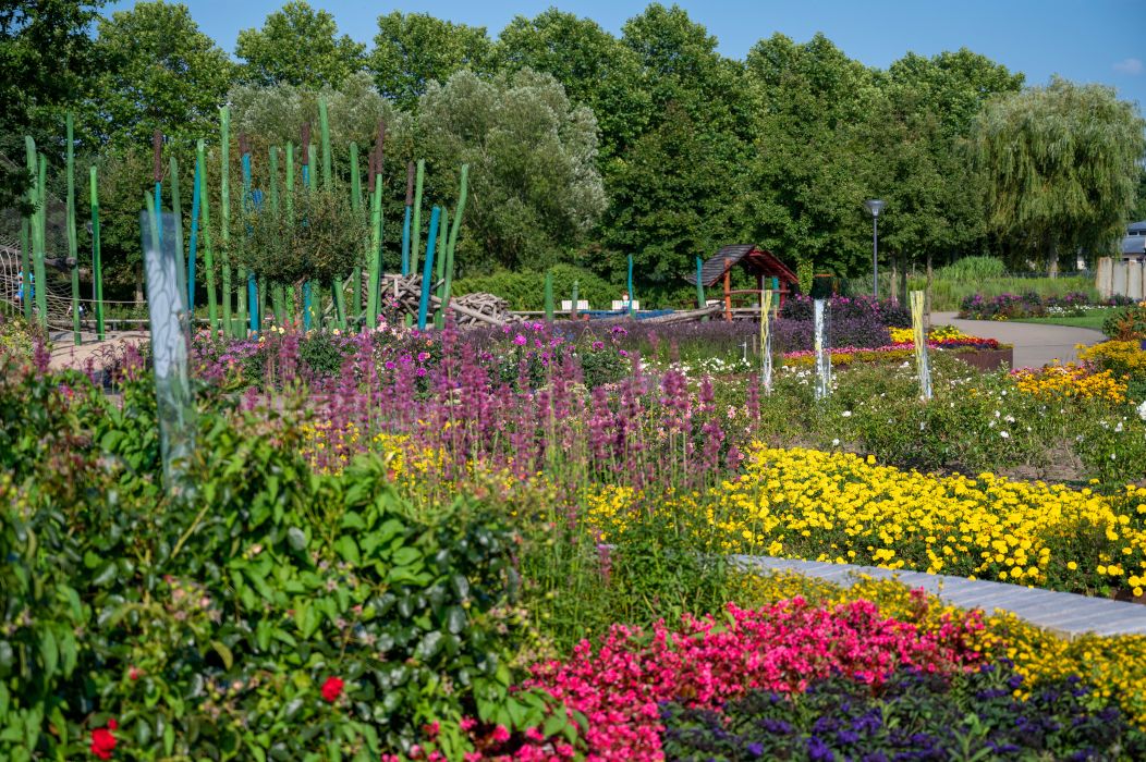 Der Gartenschaupark Rietberg erstrahlt in vielen Farben