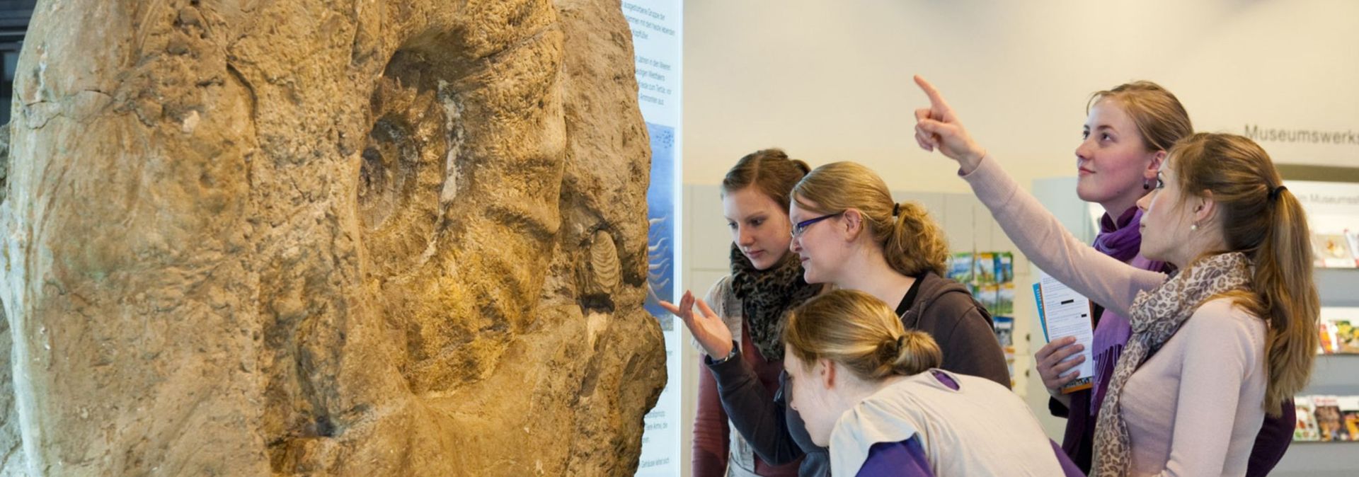 Der Riesenammonit ist der erste Blickfang, wenn Gäste das LWL-Museum für Naturkunde betreten