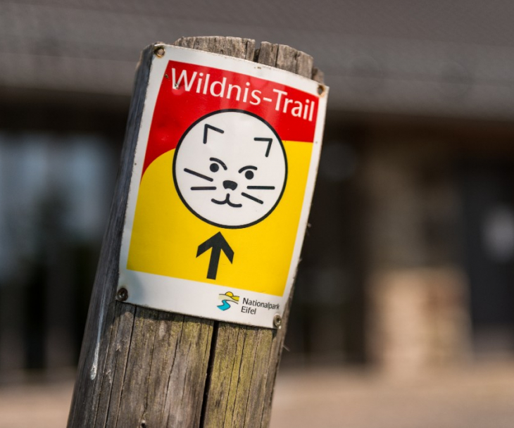 Eifelsteig Wildnis-Trail Wegweiser, © Eifel Tourismus GmbH, Dominik Ketz