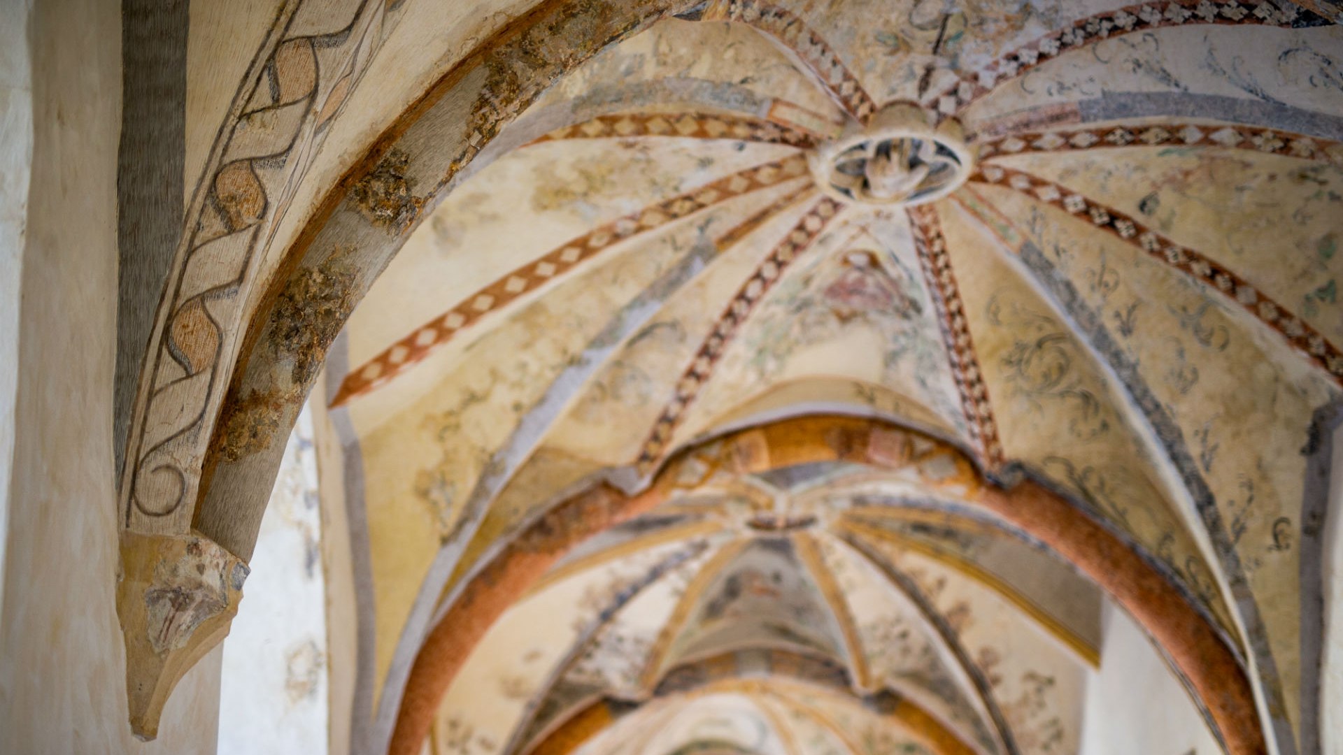 Prächtiges Kirchengewölbe im Kloster Dalheim, © Tourismus NRW e.V.