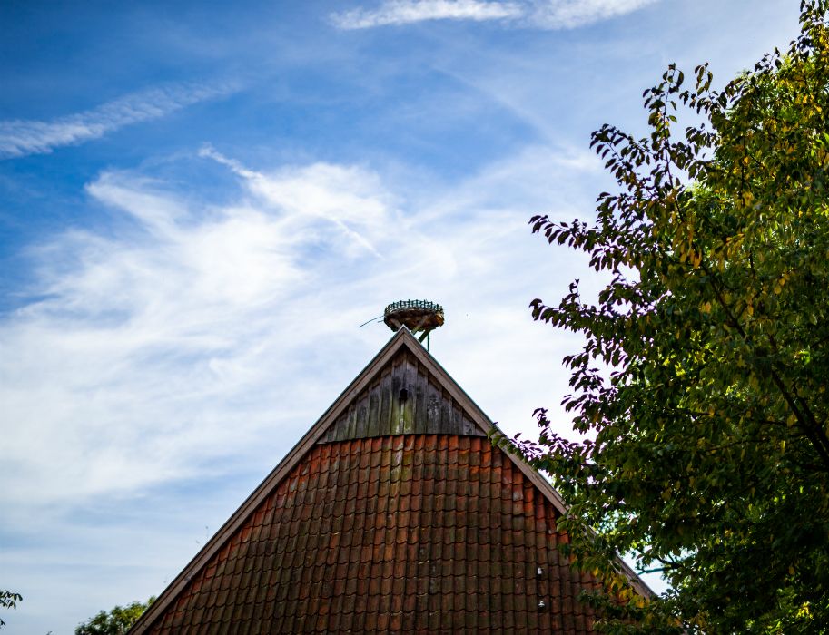 Ein Storchennest ziert das Westfälische Storchenmuseum im Fachwerkhaus Windheim No. 2 