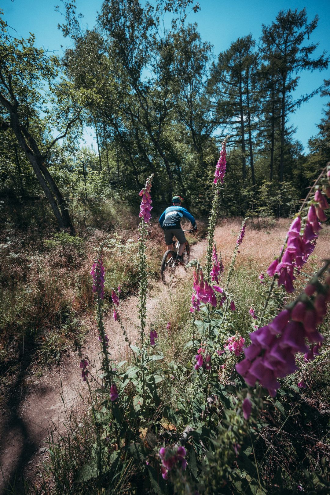 Mountainbike im Sauerland