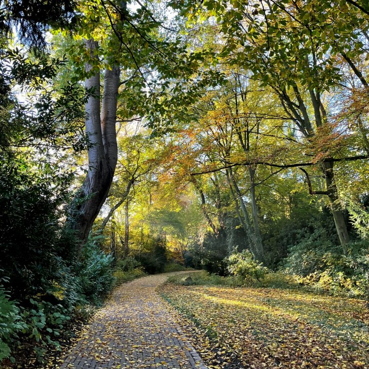 3 Türme Weg Hagen Stadtpark, © Tourismus NRW e.V., Hannah Förster