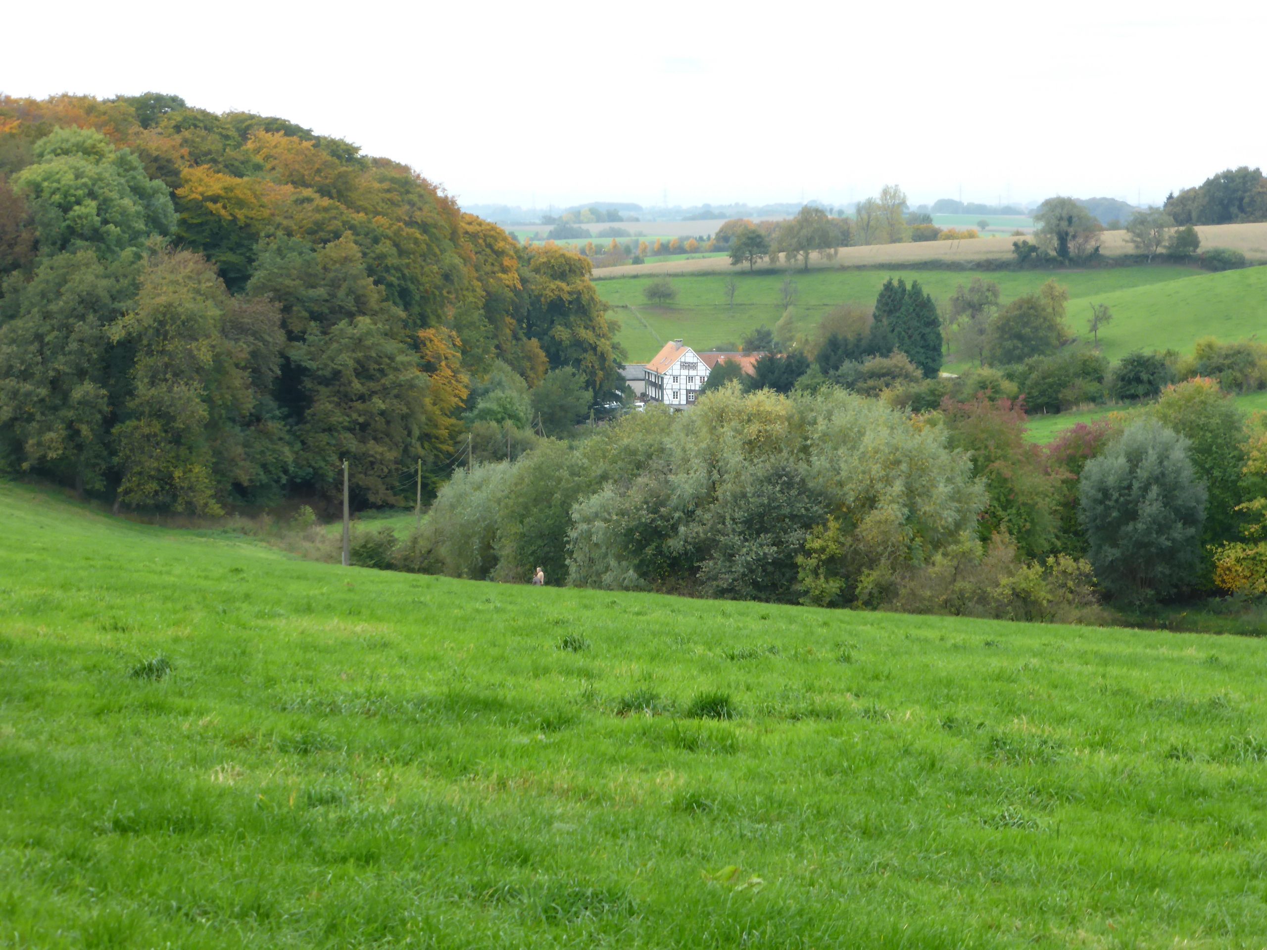 Wülfrath-Düssel nach Velbert-Neviges