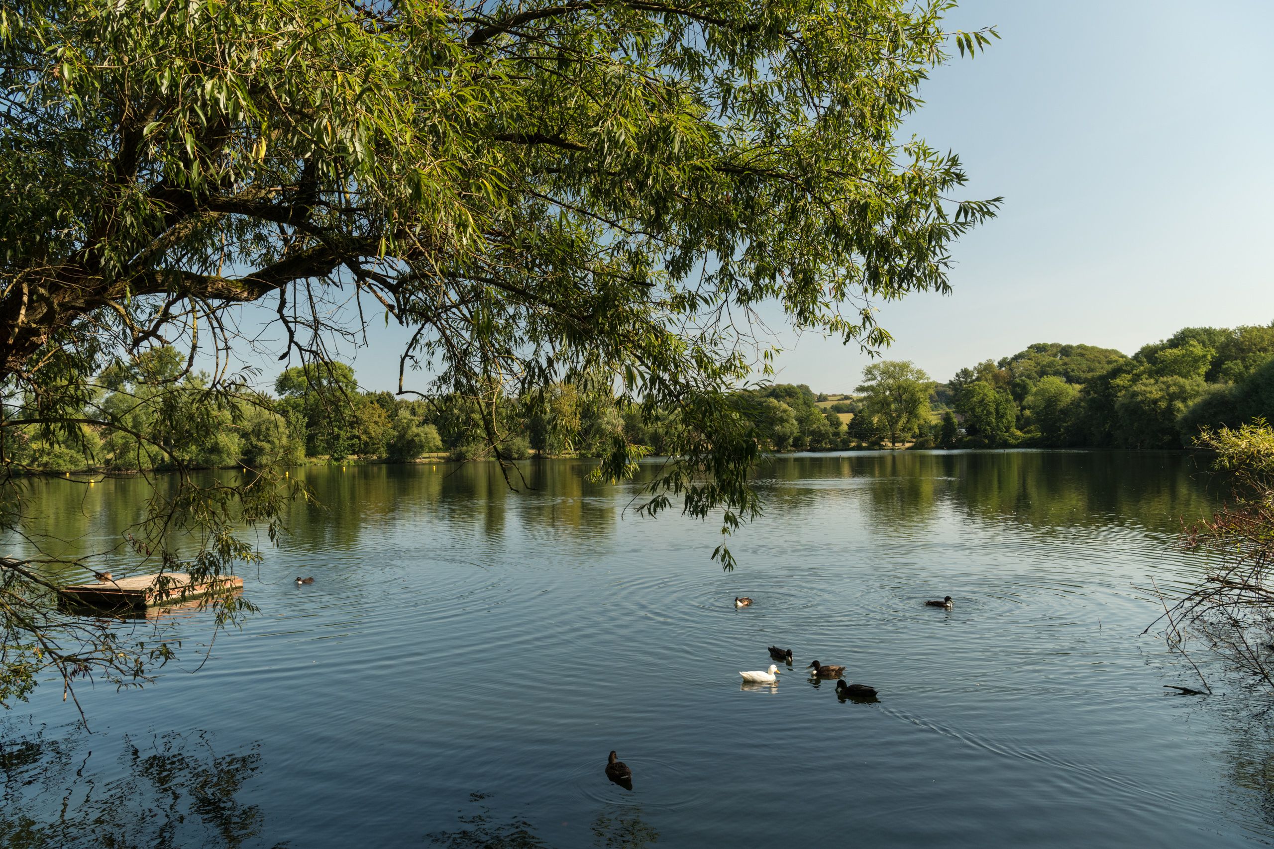 Abtskücher Teich der MuseumsLandschaft Abtsküche in Heiligenhaus