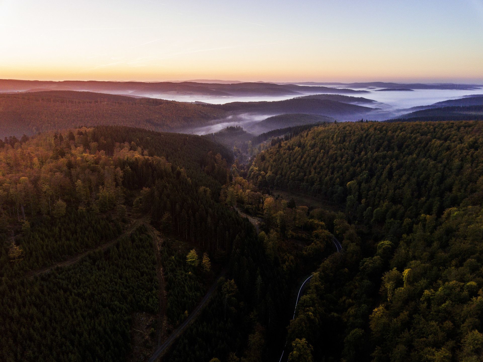 Bewaldete Hügel im Sonnenaufgang mit Nebelfeldern in einzelnen Tälern