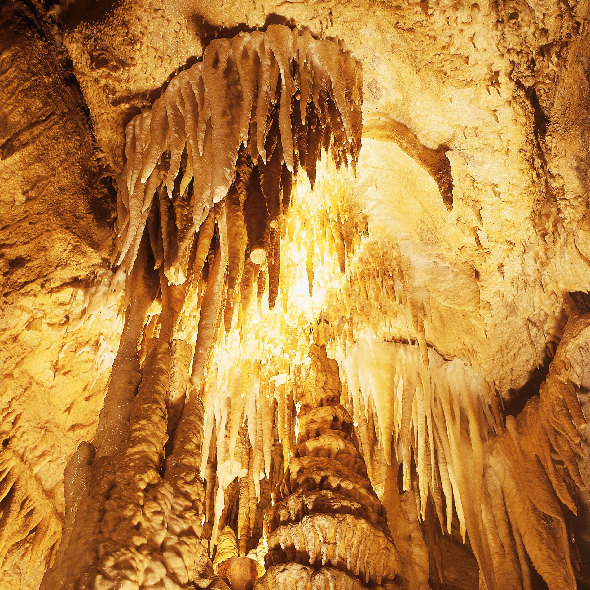 Atta Höhle in Attendorn 